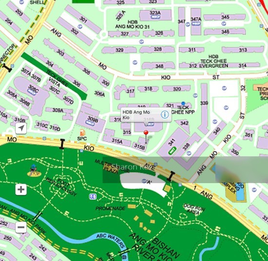 Blk 315B Ang Mo Kio Street 31 (Ang Mo Kio), HDB 5 Rooms #135422802